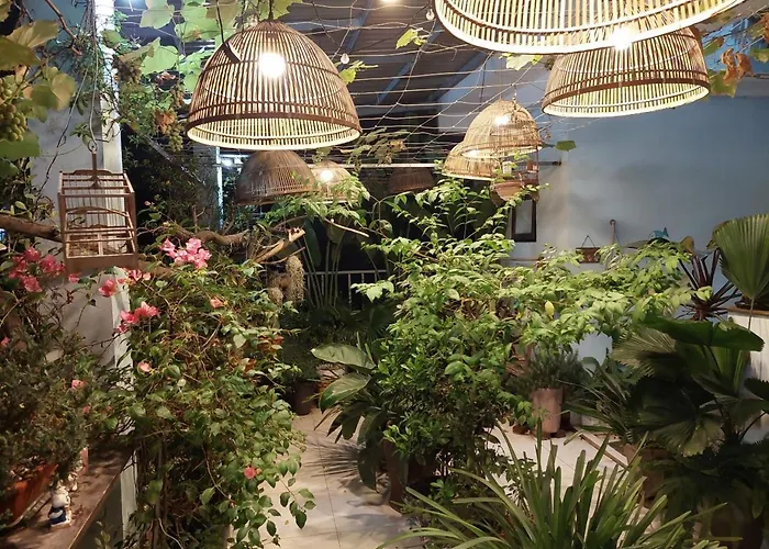 Alley Homestay